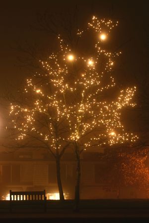 misty effect of fog on lights: holiday mini sets in trees, park andamp,amp, street lights