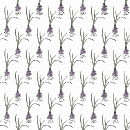 Vector Vegetables Purple Shallots on White Seamless Repeat Pattern. Background for textiles, cards, manufacturing, wallpapers, print, gift wrap and scrapbooking.のイラスト素材