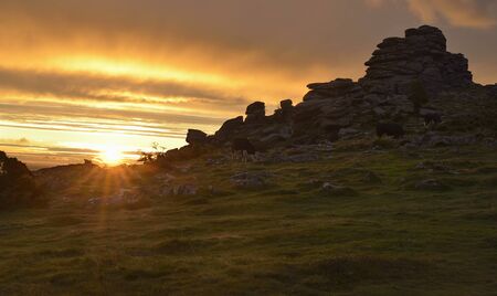 Sunrise on Hound Tor, Dartmoor, Devonの写真素材