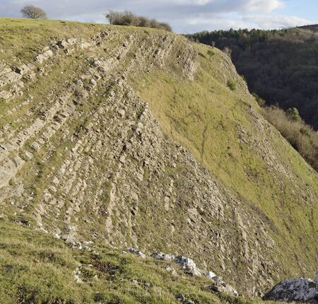 Winter Sun on Cliff Edge of Burrington Combe, Somerset