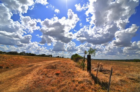 wheatfields and blue skies, texas hillcountryの写真素材