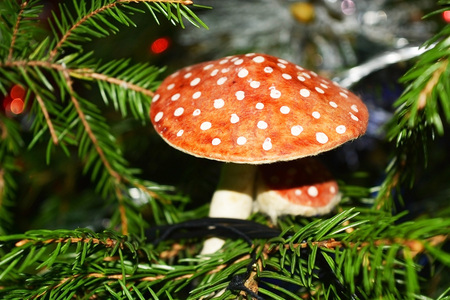 Mushroom toy on the Christmas tree!の写真素材
