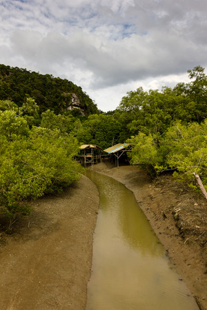 Small jungle streamの写真素材