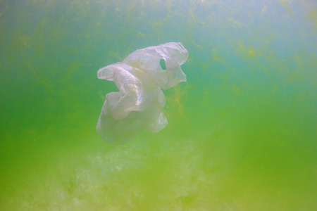 Plastic bag floating underwater surrounded by green algae.  Manmade pollution is having a drastic effect on the ocean ecosystemsの写真素材