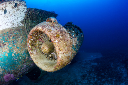 Jet engine attached to the fuselage of a plane wreck, deep underwaterの写真素材