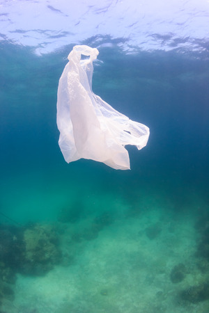 Waste plastic bag floating above green water and a dead seabed.  Manmade pollution is having a dramatic effect on ocean ecosystemsの写真素材