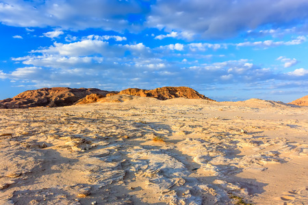 Late evening shadows on a dry, sandy desertの写真素材