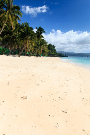 Empty tropical beachの写真素材