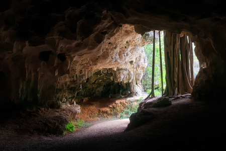 Exit from a large underground caveの写真素材