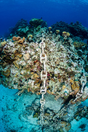 An anchor chain from a cruise ship carelessly dropped causing damage to an otherwise healthy tropical coral reef. Careless dropping of anchor is a serious threat to shallow water reef around the worldの写真素材