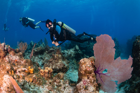 Female SCUBA diver on a tropical coral reefの写真素材