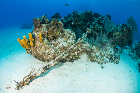 An anchor chain from a cruise ship carelessly dropped causing damage to an otherwise healthy tropical coral reef. Careless dropping of anchor is a serious threat to shallow water reef around the worldの写真素材