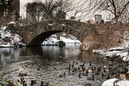 Gapstow Bridge in New York's Central park on a frozen, snowy winters dayの写真素材