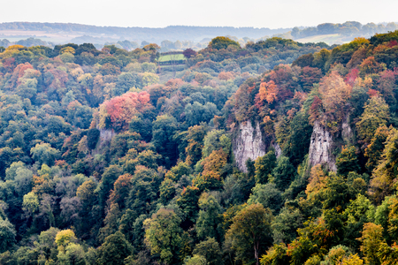 Autumn coloured trees at Symond's Yat Rockの写真素材