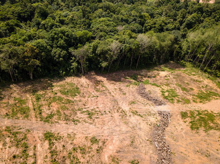Aerial drone view of deforestation of a tropical rain forest to make way for palm oil and constructionの写真素材