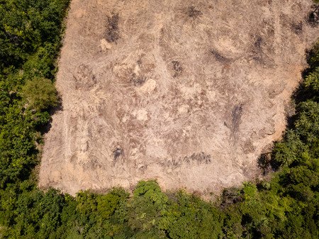 Rainforest Deforestation - Drone view of tropical rainforest cleared for illegal logging and palm oil plantationsの写真素材