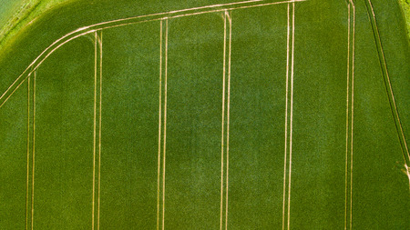 Aerial drone view of neatly ordered farmed fields and crops
