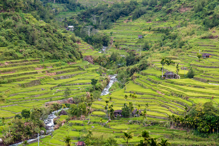 Aerial drone view of huge rice terraces in a valley surrounded by tall mountains and low hanging cloud (Banaue)の写真素材