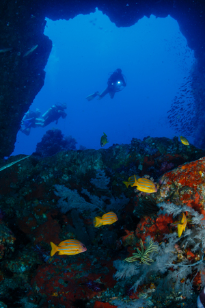 SCUBA divers exploring an underwater swim through and tropical coral reef as Western Rocky, Mergui...