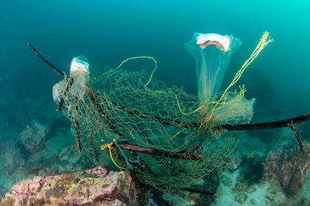 An abandoned ghost fishing net entangled on a murky, damaged tropical coral reef in Myanmarの写真素材