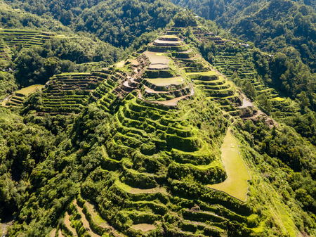 Aerial drone view of the famous Banaue Rice Terraces in the northern Philippinesの写真素材