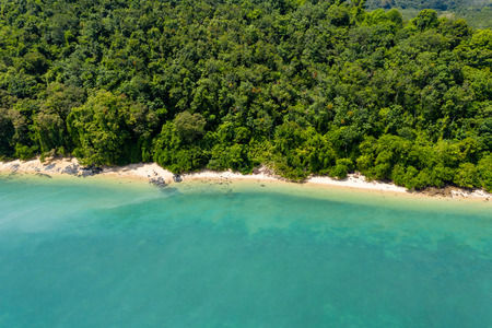 Aerial view of an empty tropical sandy beach surrounded by lush green forestの写真素材