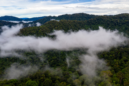 Mist and cloud forming over a dense, tropical rainforest in Thailand
