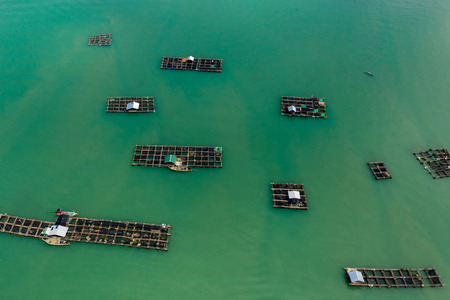 Aerial view of large scale traditional floating fish farms on Koh Yao Noi island, Thailandの写真素材