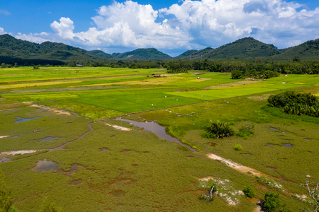 Aerial view of beautiful rice paddys on the Thai island of Koh Yao Noiの写真素材