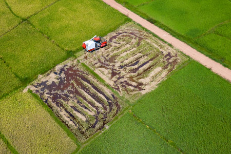 Aerial view of rice being harvested in a picturesque rice paddyの写真素材