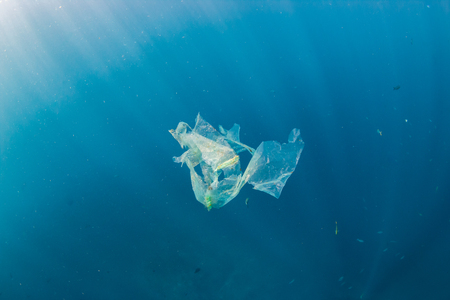 A shredded plastic bag drifting under the surface of a blue, tropical oceanの写真素材