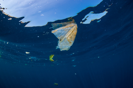 Plastic bags and debris floating on the surface of a clear, blue tropical oceanの写真素材