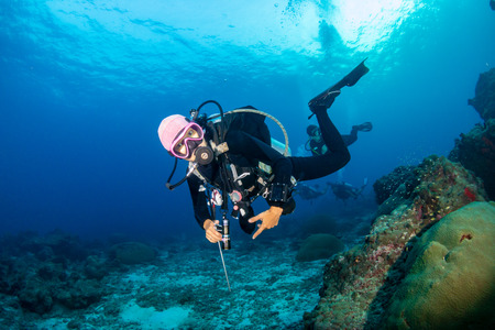 SCUBA diver on a colorful, healthy tropical coral reefの写真素材
