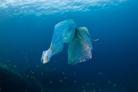 Plastic Pollution - A discarded plastic bag floats above a tropical coral reef in the Andaman Sea (Mergui Archipelago, Myanmar)の写真素材