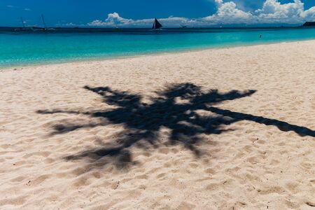 Silhouette of a palm tree on a tropical beach next to a clear, shallow ocean (Boracay)の写真素材