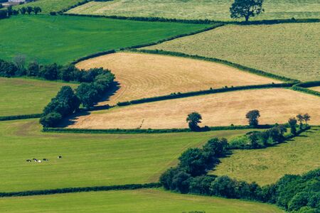 Green fields and farmland in rural Wales, UKの写真素材