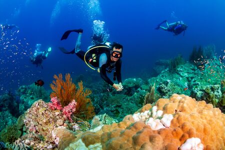 SCUBA divers on a colorful tropical coral reef