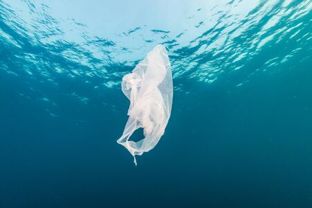 Plastic Pollution in the Ocean - A discarded plastic bag drifting underwater in a tropical ocean