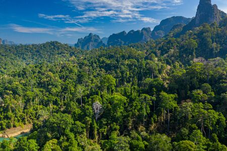 Aerial drone shot of dense tropical rainforest and towering limestone cliffsの写真素材