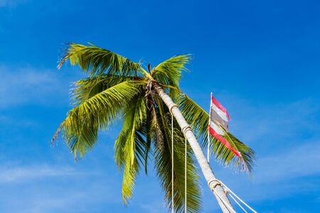 Palm trees with a torn, damaged Thai flag on a tropical beach in Khao Lak, Thailand