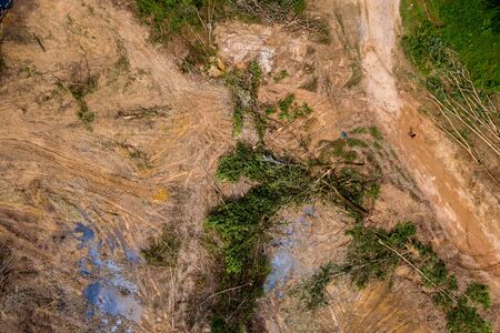 Aerial view of logging and deforestation of a tropical rainforest in rural Thailandの写真素材