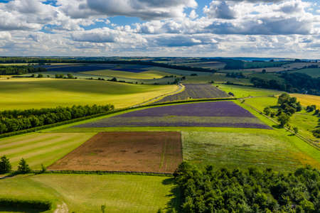 Aerial drone view of colorful fields of Lavender in the English rural countryside
