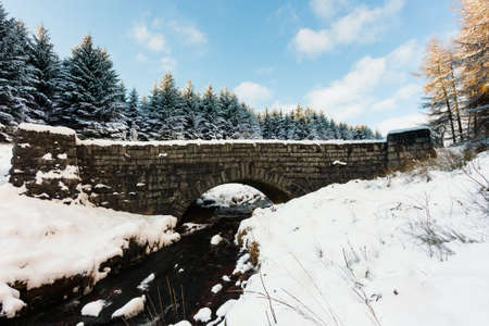 Small stone bridge over a stream in a snow covered forest landscape