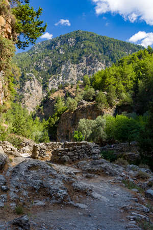 Beautiful mountain scenery of a gorge surrounded by tall cliffs and pine trees (Samaria Gorge,...