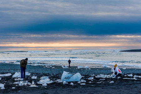 JOKULSARLON,ICELAND - NOVEMBER 18 2021: Tourists examining icebergs and crystals on the black sand beach at Jokulsarlon, Icelandのeditorial素材