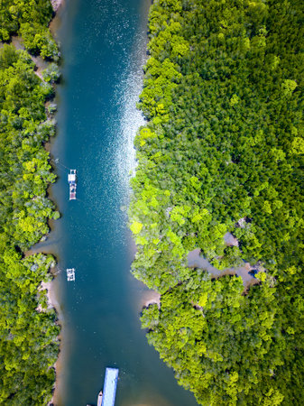 Aerial view of a huge mangrove forest and towering limestone pinnacles (Phangnga Bay, Thailand)