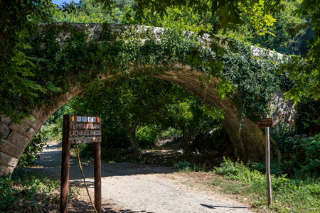 CRETE, GREECE - JULY 07 2023: An ancient stone bridge and woodland at the start of the Richtis Gorge in eastern Crete, Greeceのeditorial素材
