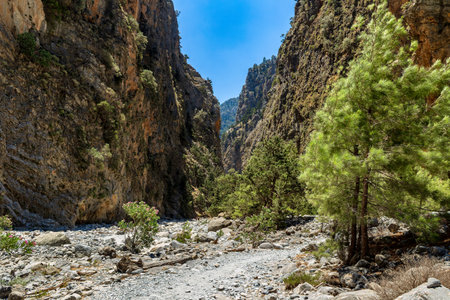 A dry, rocky river bed at the bottom of a deep gorge in the middle of a dry, hot summer (Samaria Gorge, Crete)の写真素材