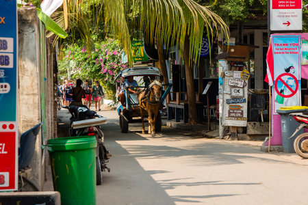 A traditional horse cart (Cidomo) waiting for tourists on the Indonesian Gili islands off the coast of Lombok. The Gili Islands have no motorised transport.のeditorial素材
