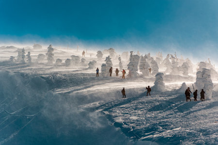 Hikers and skiers around frozen trees and rime field at the famous "Snow Monsters". Moist siberian winds create the shapes on frozen trees in mid winter.のeditorial素材